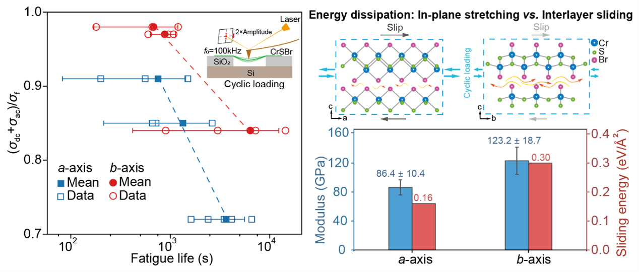 <a href='/2025/0210/c38383a720799/page.htm' target='_blank' title='微纳米复合材料研究所在二维磁性半导体各向异性力学与疲劳性能研究中取得新进展'>微纳米复合材料研究所在二维磁性...</a>