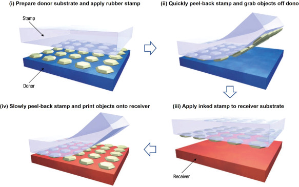 Chapter 2 - Transfer printing by kinetic control of adhesion