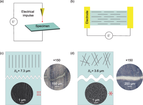 Electrified fracture of nanotube films